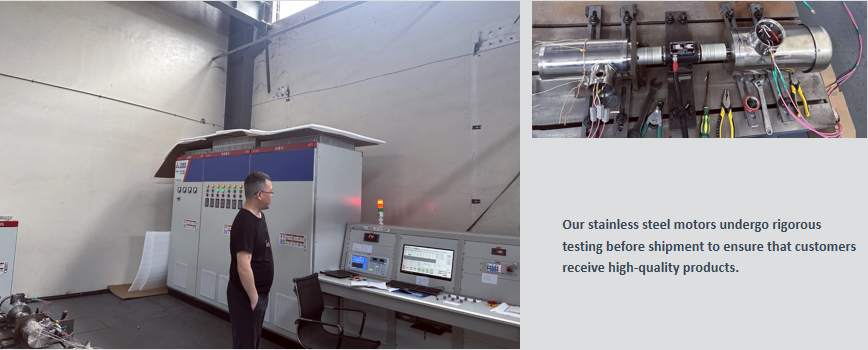 Advantages of Germana Stainless Steel Motors