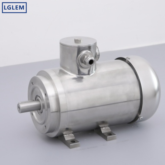 Advantages of Germana Stainless Steel Motors