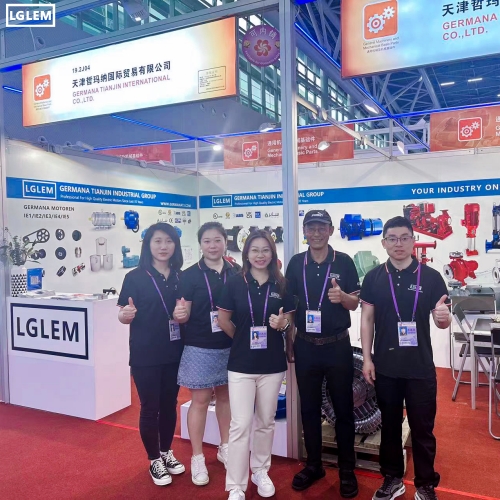 Common Failures of Cage Rotor Motors and How to Prevent Them