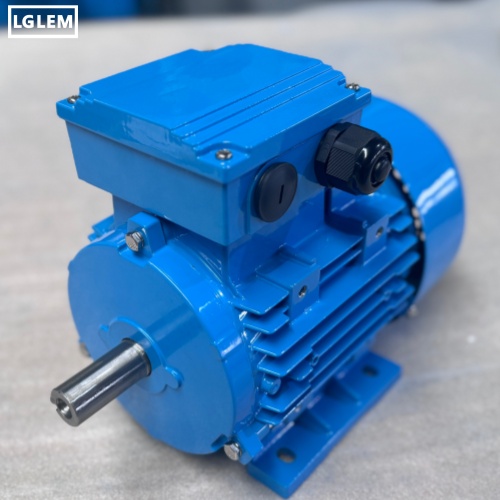 Full Container of WE Series Electric Motors Shipped to Europe