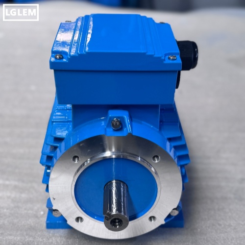 Full Container of WE Series Electric Motors Shipped to Europe