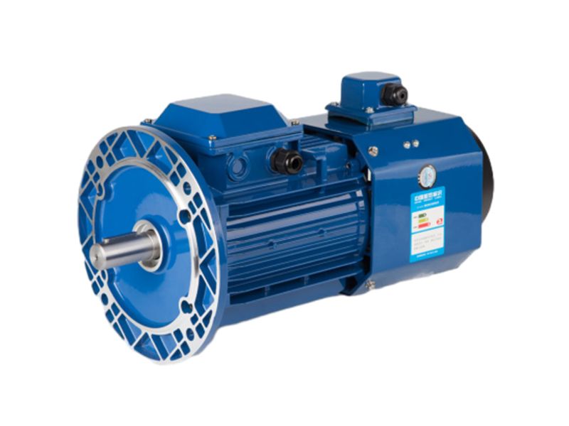 Aluminum Body Square-type Variable Frequency Three-phase Asynchronous Motor