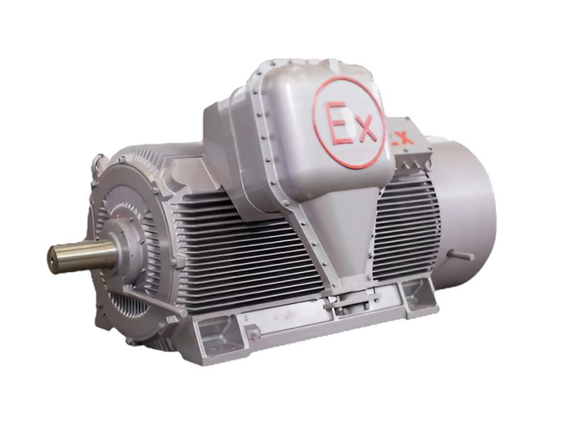 YBKS High Voltage Explosion-Proof Three-Phase Asynchronous Motor