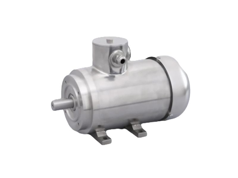 IEC Stainless Steel Motor